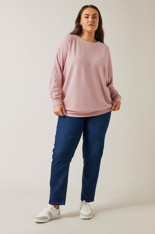 Evans EVANS Curve Pink Ribbed Soft Touch Jumper