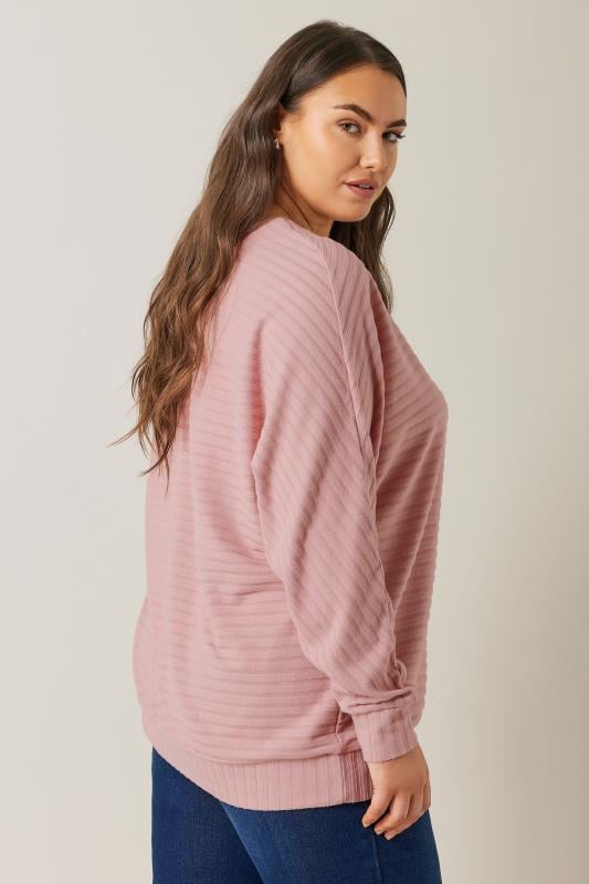 Evans EVANS Curve Pink Ribbed Soft Touch Jumper