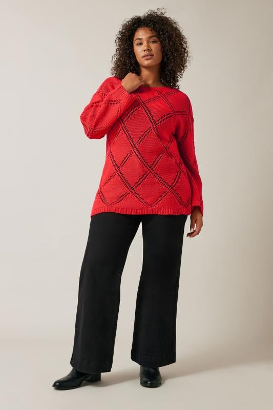 Evans EVANS Curve Red Diamond Pointelle Jumper
