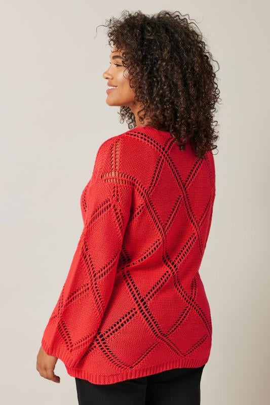 Evans EVANS Curve Red Diamond Pointelle Jumper