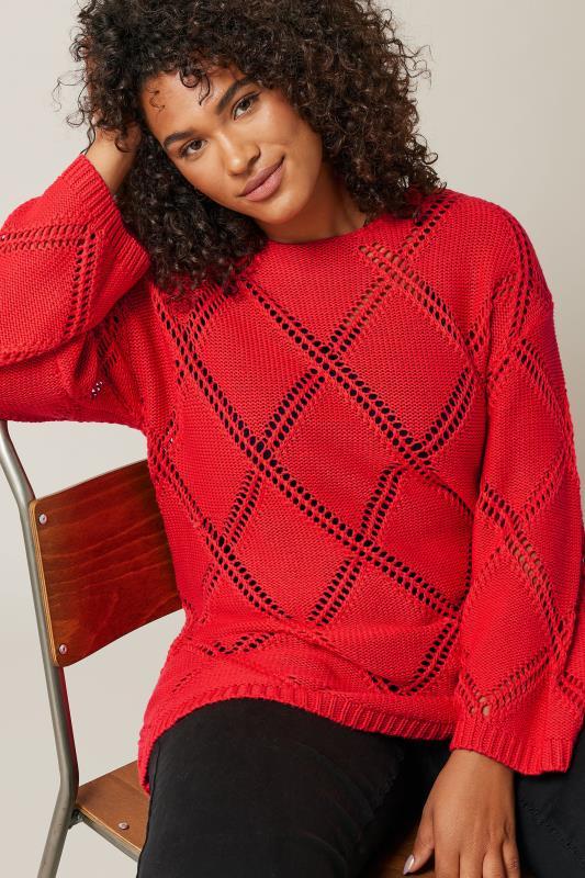 Evans EVANS Curve Red Diamond Pointelle Jumper