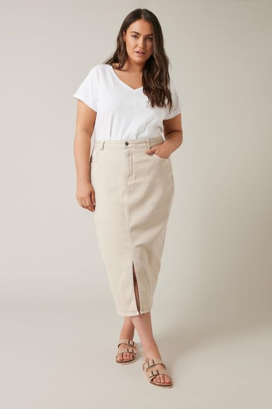 Evans EVANS Curve White Pure Cotton T-Shirt