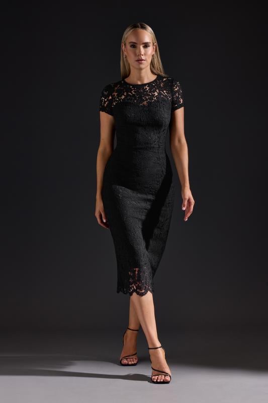 evans LTS Tall Black Lace Fitted Midi Dress