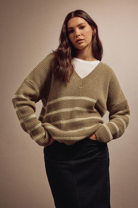 evans LTS Tall Brown V-Neck Stripe Jumper