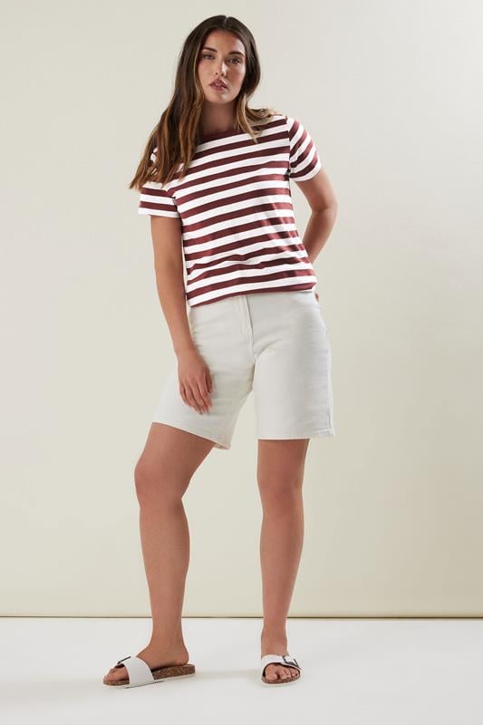 Evans LTS Tall Burgundy Red Striped T-shirt