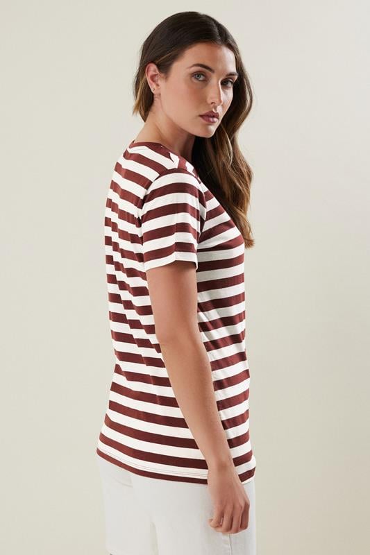 Evans LTS Tall Burgundy Red Striped T-shirt