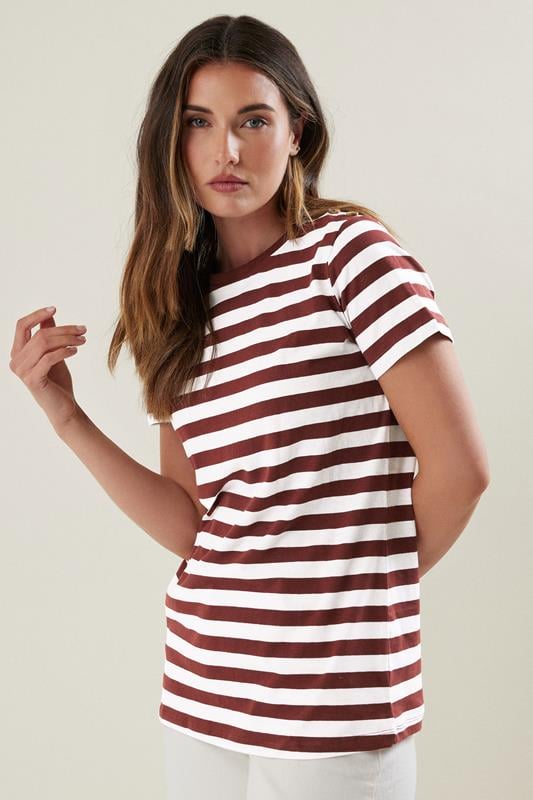 evans LTS Tall Burgundy Red Striped T-shirt