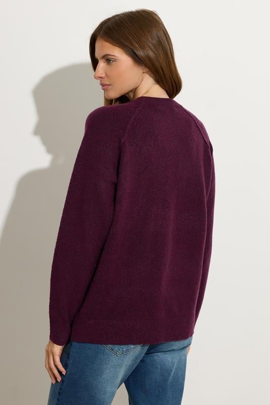 Evans M&Co Berry Purple Raglan Jumper