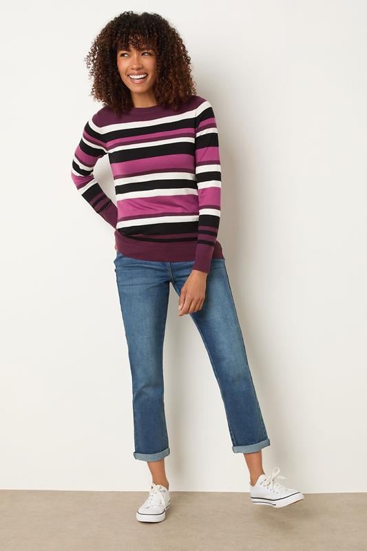 Evans M&Co Berry Purple Stripe Crew Neck Jumper
