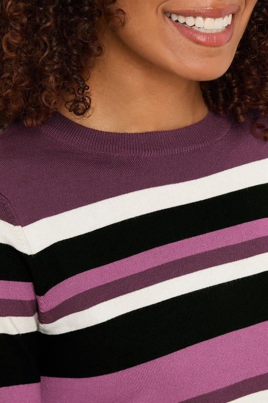 Evans M&Co Berry Purple Stripe Crew Neck Jumper