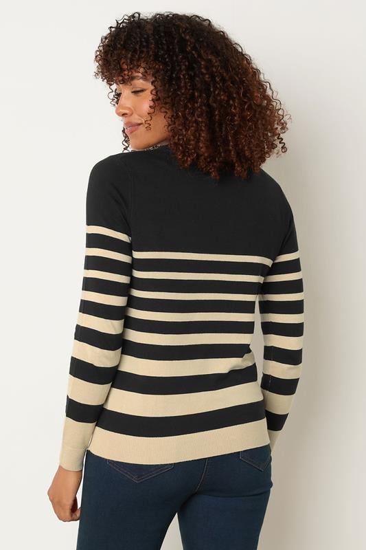 Evans M&Co Black & Cream Stripe Crew Neck Jumper
