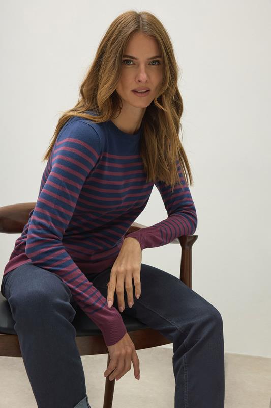 Evans M&Co Navy Stripe Crew Neck Jumper