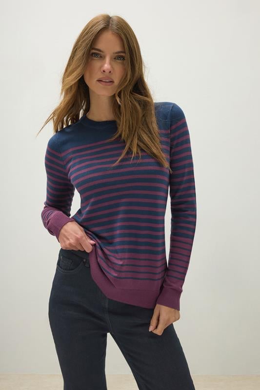 evans M&Co Navy Stripe Crew Neck Jumper