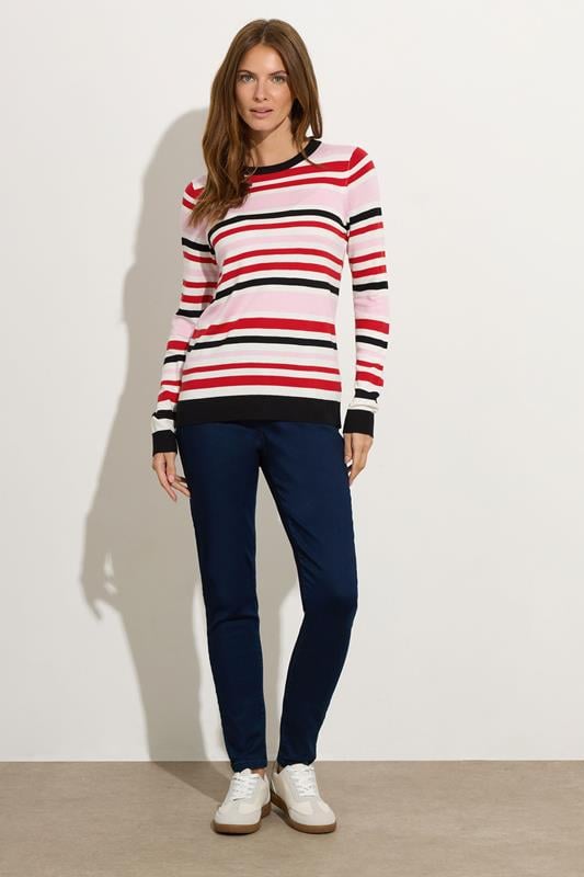 Evans M&Co Pink Stripe Crew Neck Jumper