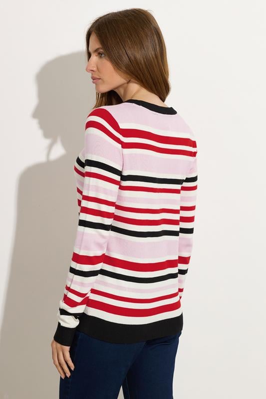 Evans M&Co Pink Stripe Crew Neck Jumper