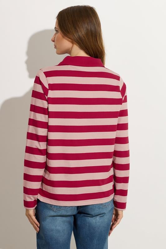 Evans M&Co Red & Pink Cotton Stripe Polo Shirt