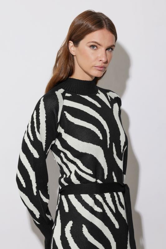 Evans STAR Black Zebra Jumper Dress