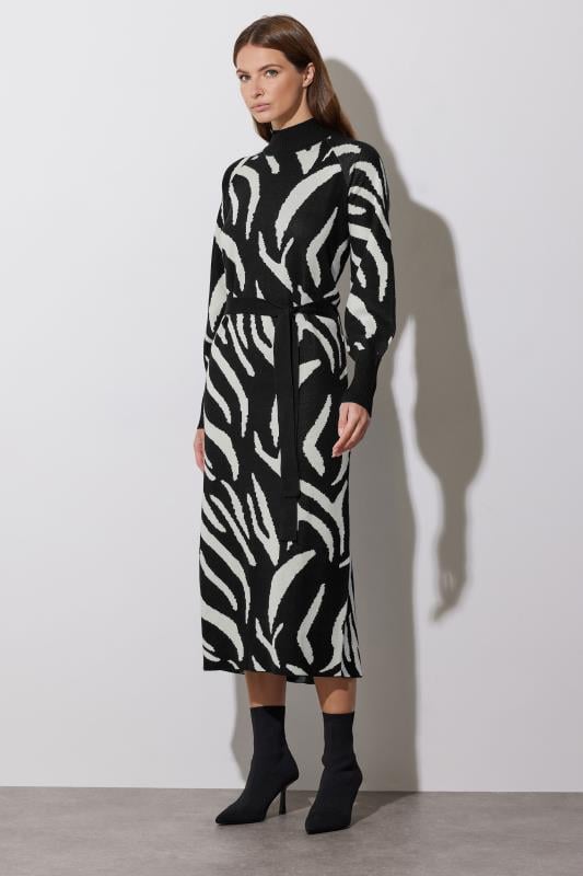 evans STAR Black Zebra Jumper Dress