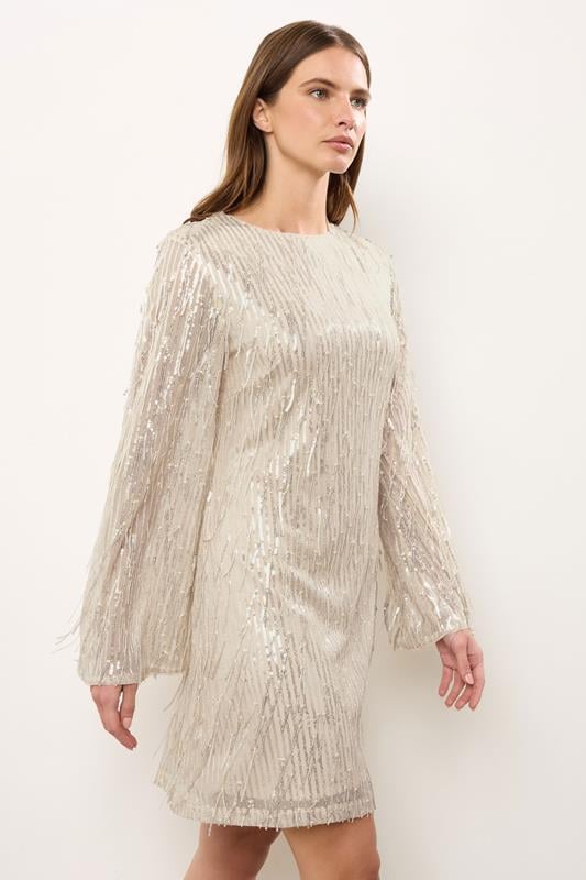 evans STAR Light Pink Sequin Tassel Dress
