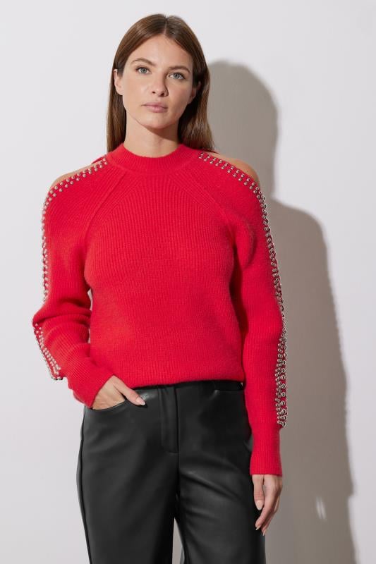 Evans STAR Red Embellished Sleeve Jumper