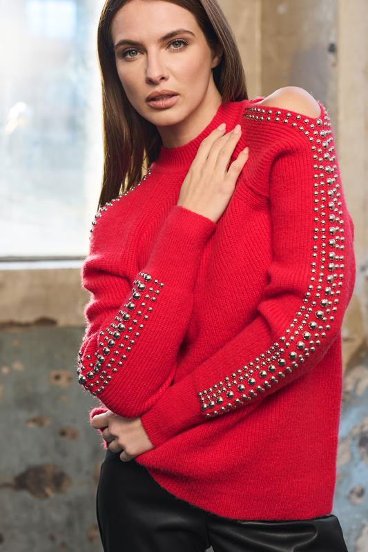 evans STAR Red Embellished Sleeve Jumper