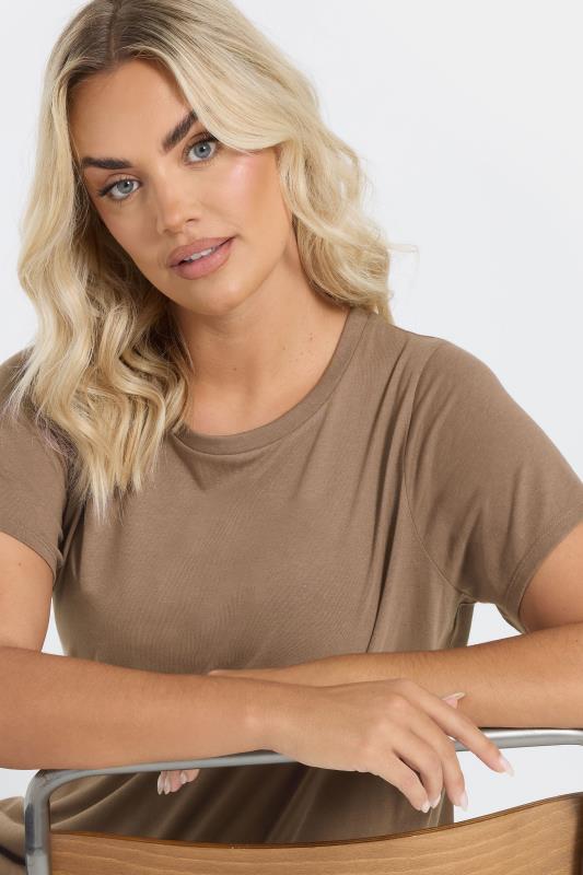 Evans YOURS Curve Brown Essential T-Shirt