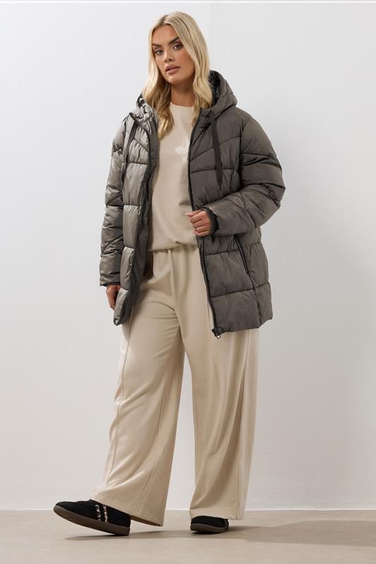 Evans YOURS Curve Brown Short Padded Coat