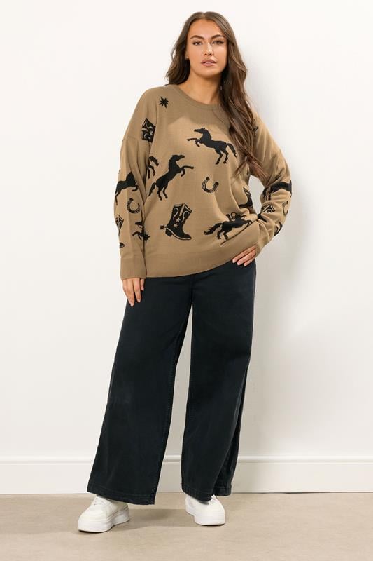 Evans YOURS Curve Brown Western Knitted Jumper