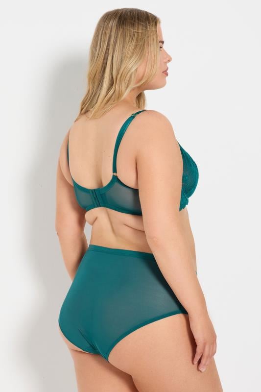 Evans YOURS Curve Green Lace Detail Full Briefs