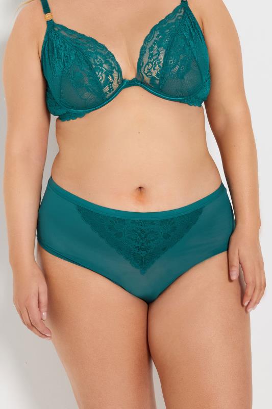 Evans YOURS Curve Green Lace Detail Full Briefs