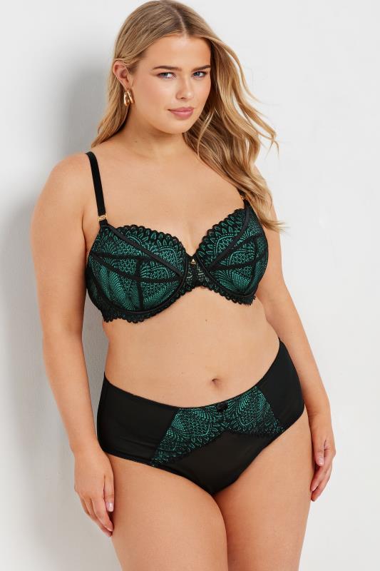 Evans YOURS Curve Green Lace Full Briefs