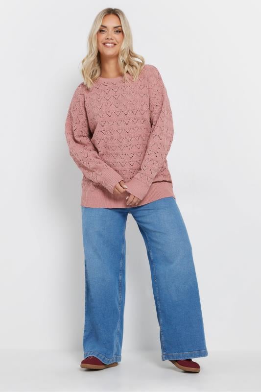 Evans YOURS Curve Pink Crochet Chenille Jumper