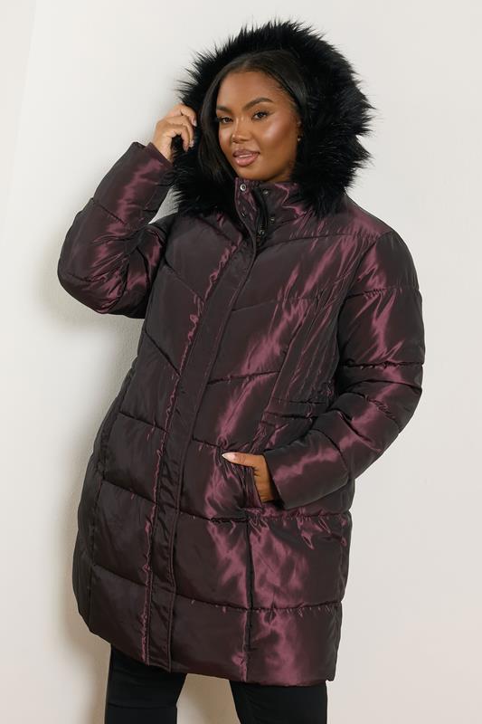 Evans YOURS Curve Purple Puffer Midi Coat