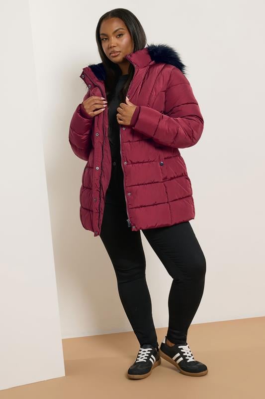 Evans Yours Curve Red Short Puffer Coat