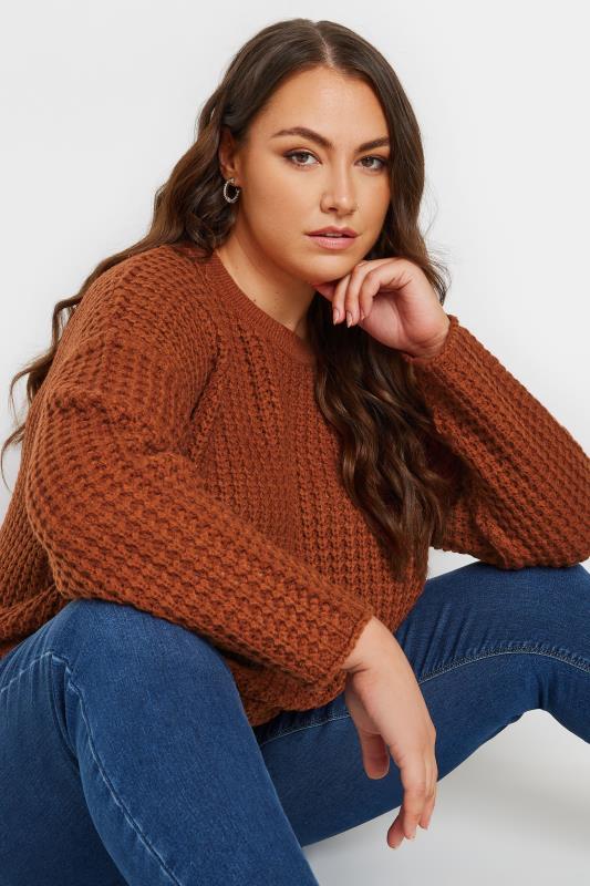 evans YOURS Curve Rust Orange Waffle Knit Jumper