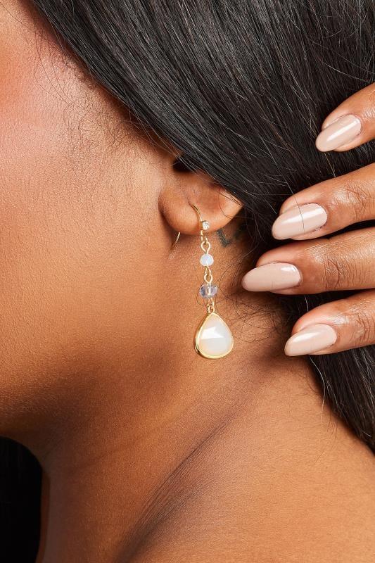 evans Yours Gold Tone Gem Drop Earrings