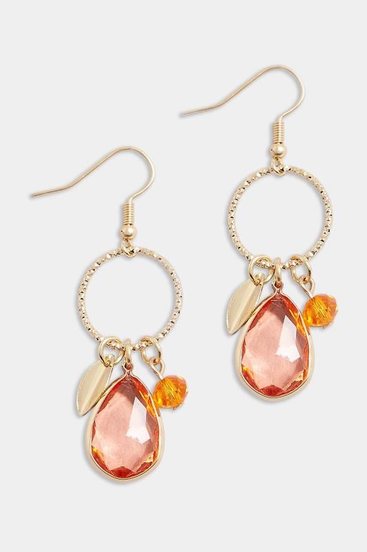 Evans Yours Gold Tone Stone Charm Drop Earrings