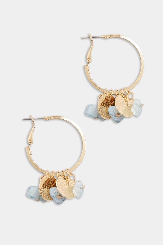 Evans Yours Gold Tone Stone Hoop Earrings