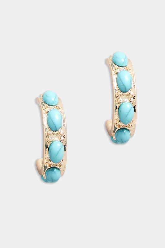 Evans Yours Gold Tone Stone Studded Hoop Earrings