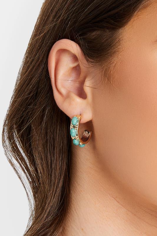 evans Yours Gold Tone Stone Studded Hoop Earrings