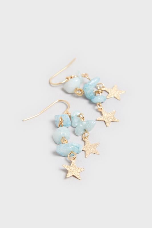Evans Yours Gold Tone Stone Tassel Drop Earrings