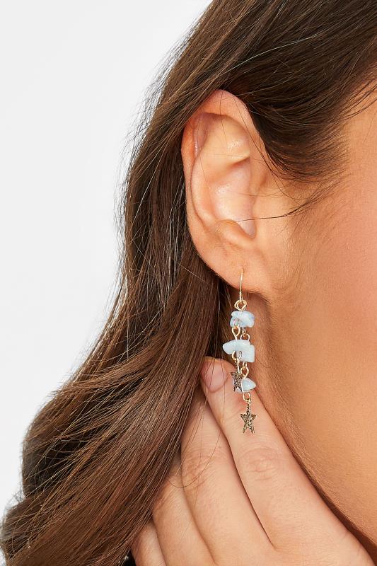 evans Yours Gold Tone Stone Tassel Drop Earrings
