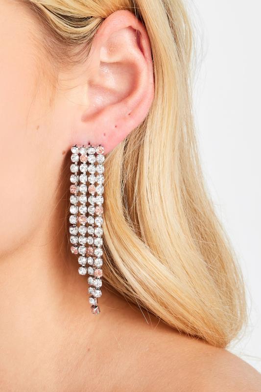 evans Yours Silver Diamante Drop Earring
