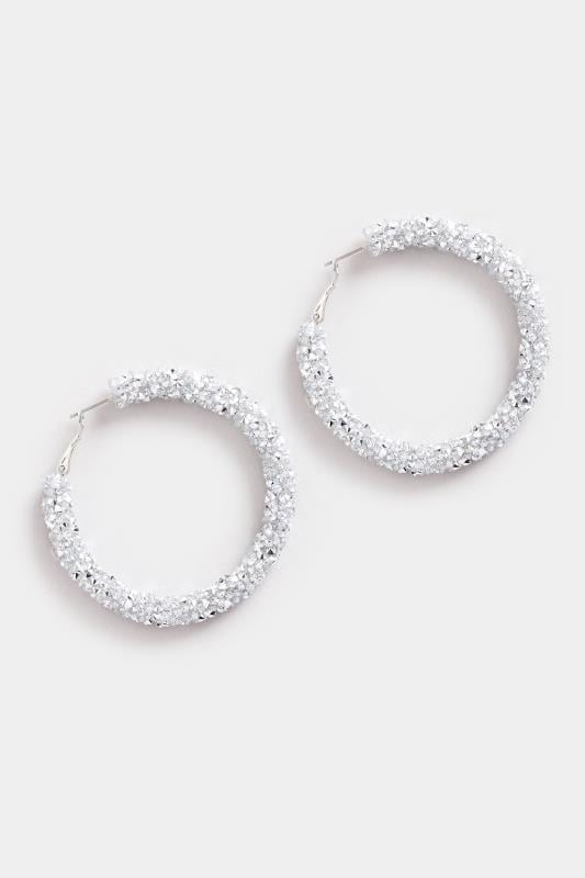 Evans Yours Silver Tone Diamante Mesh Earrings