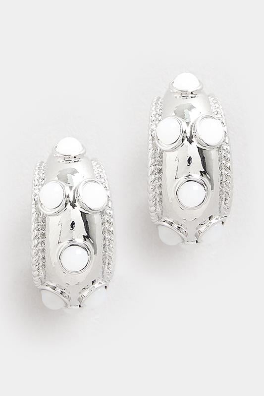 Evans Yours Silver Tone Stone Stud Earrings
