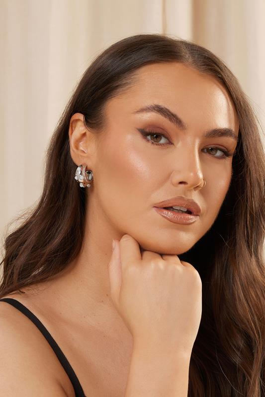 evans Yours Silver Tone Stone Stud Earrings