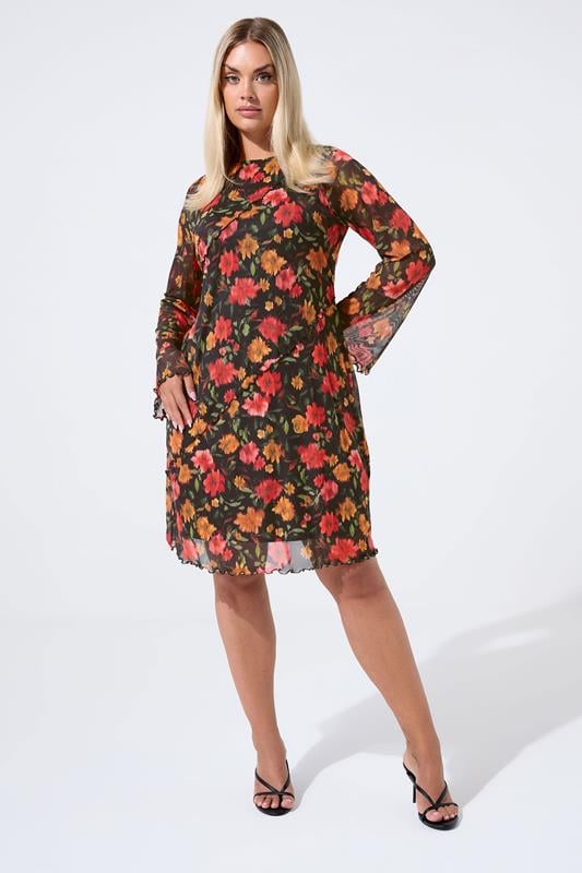 Evans LIMITED COLLECTION Curve Black Floral Mesh Mini Dress