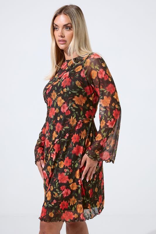 evans LIMITED COLLECTION Curve Black Floral Mesh Mini Dress