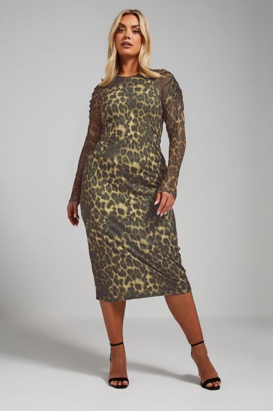 evans LIMITED COLLECTION Curve Brown Leopard Print Ruched Sleeve Midi Dress