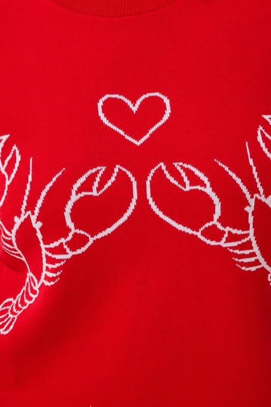 Evans LIMITED COLLECTION Curve Red Lobster Knitted Vest Top